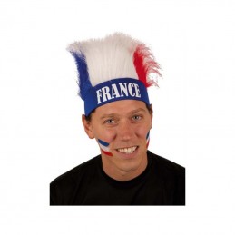 PERRUQUE BANDEAU TRICOLORE